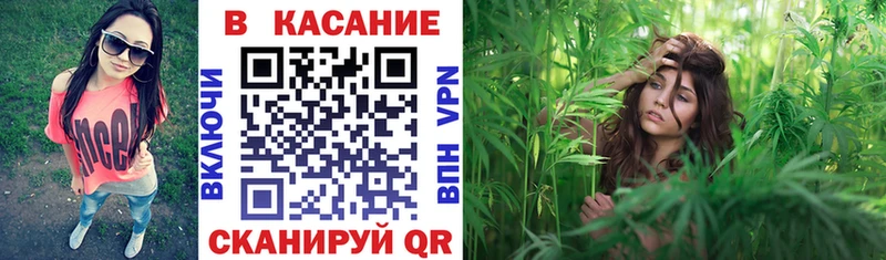 Конопля Тбилисская
