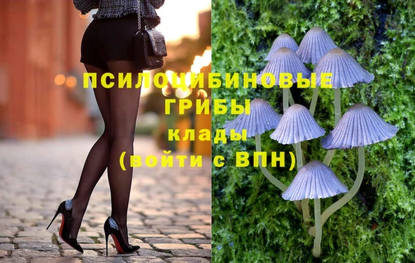 mix Бородино