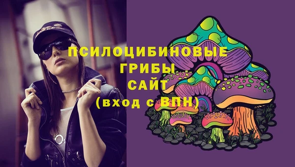 mix Бородино