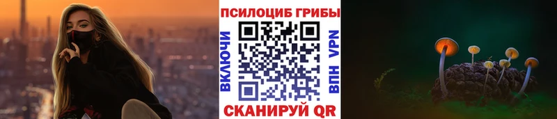 mega ТОР  Тбилисская  Галлюциногенные грибы MAGIC MUSHROOMS 